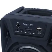 اسپیکر بی سیم GreatNice مدل GTS-1637 - مشکی - TCO - تصویر 5